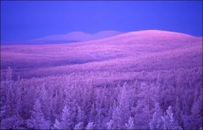 Qu'est-ce que le "Kaamos", terme issu de la langue finnoise ?