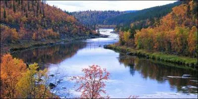 Comment pourriez-vous décrire le paysage que l'on rencontre le plus souvent en Laponie finlandaise ?