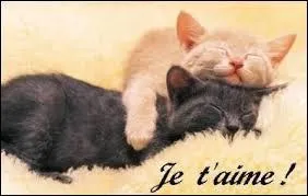 Qui Plume Grise prend-il comme seconde compagne ?