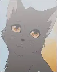 Quel groupe de chats rejoint le fils de Plume Grise ?