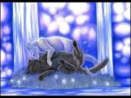 De qui la fille de Plume Grise tombe-t-elle amoureuse avant de mourir ?