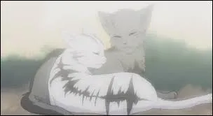 Comment rencontre-t-elle Plume Grise ?