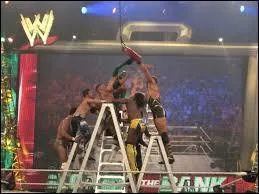 Qui a gagné 2 fois le Money In The Bank ?