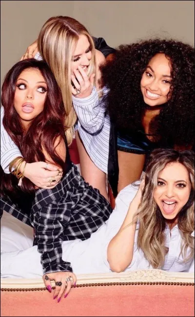 Comme les One Direction, elles ont participé à une émission, laquelle ?