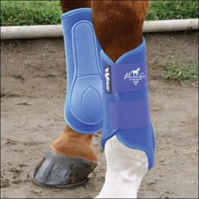 Quelle est cette protection ?