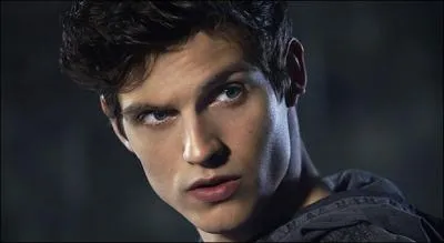 Dans quelle autre série télévisée, Daniel incarne-t-il un personnage ?