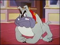 Que ce soit au niveau de la nourriture ou de l'amitié, ce canidé est un antagoniste de Pluto. Il n'apparaît que dans onze courts métrages. Qui est-ce ?