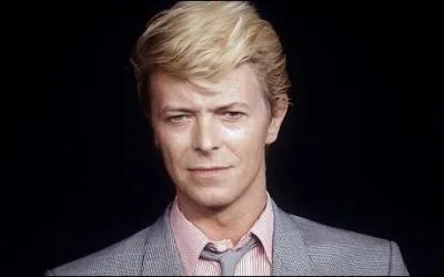 David Bowie a fait beaucoup de choses. Que n'a-t-il pas fait ?