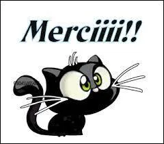 Merci beaucoup de jouer et noter mes quiz, je vous _____.