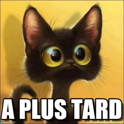 Je te laisse, je _____ faire un tour.