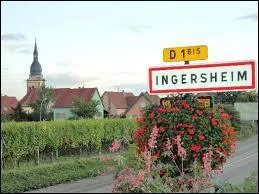 Nous sommes en Alsace, à l'entrée d'Ingersheim. Ville de la périphérie Colmarienne, elle se situe dans le département ...