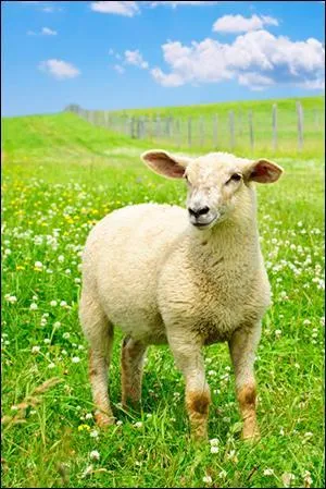 De un an à deux ans, quel est son nom ?