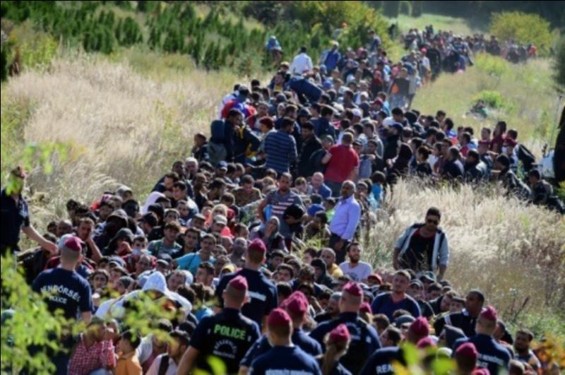 Face à l'afflux massif de réfugiés syriens, quel pays européen a montré sa volonté d'ériger un mur, remettant ainsi en cause la libre circulation des personnes dans l'espace Schengen ?