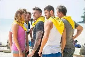 Les jaunes se sont successivement appelés... (2012)