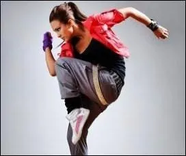 La naissance du Hip Hop a-t-elle eu lieu avant l'invention du G.P.S. ?