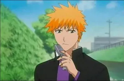 Le trait principal de caractère d'Ichigo est...