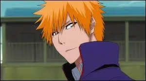 Quel est le truc le plus voyant chez Ichigo ?