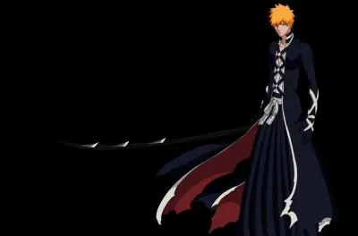 Ichigo maitrîse le Bankai grâce à...