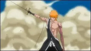 Ichigo a reçu le badge...