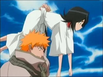 [Arc du sauvetage de Rukia] Qui Ichigo combat-il sur la colline du Sokyoku, une fois Rukia sauvée et emmenée par Renji ?
