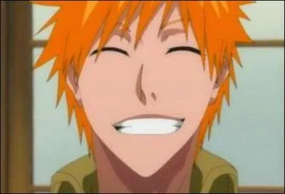 [Arc du combat contre les Quincy] Quel âge a Ichigo lors de cet arc ?