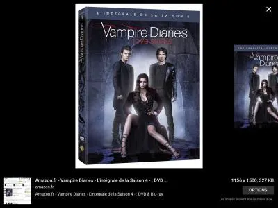 Qu'a fait Stephen pour sauver Damon ?