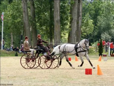 Trouve la discipline :