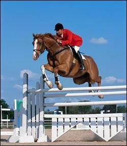 Trouve la discipline :