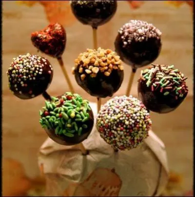 Un "airedale" est le nid des oiseaux de proie.