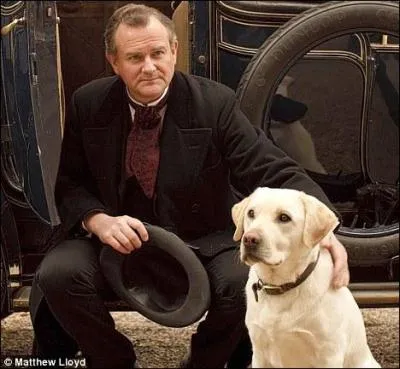 Comment se nomme la chienne du comte de Grantham ?