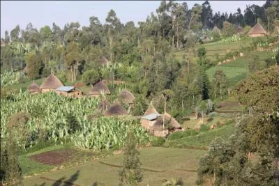 "Mille" est aussi une rivière. Où coule-t-elle ?