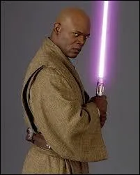 Qui est le Maître de Mace Windu ?
