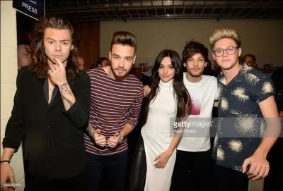 Quel est le membre des One Direction préféré de Camila ?