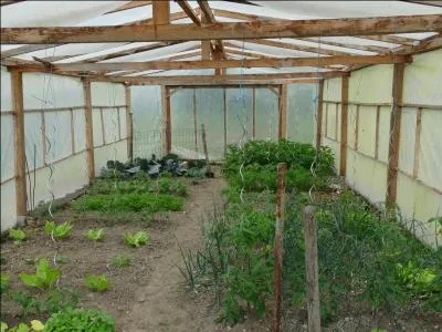 Si vous ne trouvez pas la réponse, vous serez automatiquement qualifié de son adjectif, c'est-à-dire bâté !