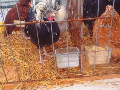 Mais rassurez-vous, si vous ne trouvez pas les réponses précédentes, ça restera entre nous, c'est-à-dire ...