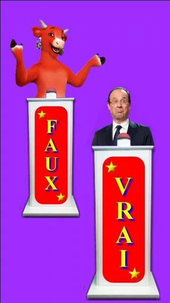 Les chats voient dans le noir, vrai ou faux ? Qui dit vrai ?