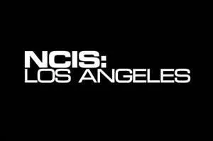 Que veut dire "NCIS" ?