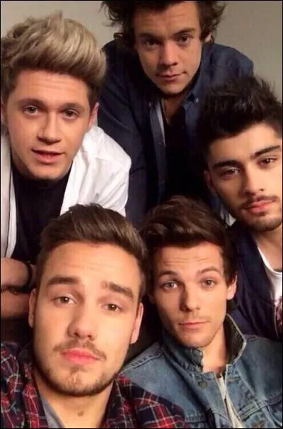 Dans quel groupe de musique Zayn faisait-il parti?