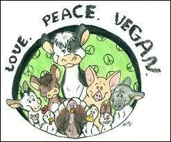 Pour finir, un vegan mange-t-il des fruits et légumes ?