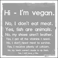 Pourquoi un vegan ne mange-t-il pas d'ufs ?