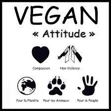 Les vegans peuvent-ils prendre des médicaments ?