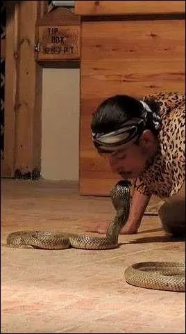 Quel écrivain grec du premier siècle considérait les enchanteurs de serpents comme les plus renommés en Égypte ?