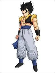 C'est la fusion de Sangoku et Végéta SANS les potalas ; qui est-ce ?