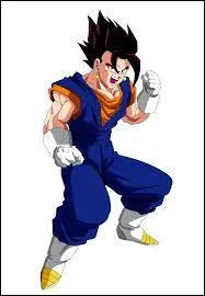 C'est la fusion de Sangoku et Végéta AVEC les potalas ; qui est-ce ?