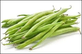 Où poussent les haricots ?