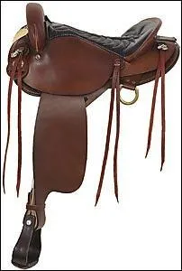 Pour quelle discipline cette selle est-elle plutôt utilisée ?