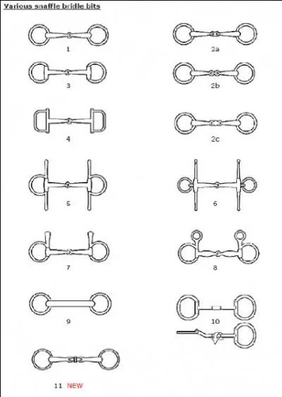 Parmi ces mors, lequel a l'action la plus douce ?