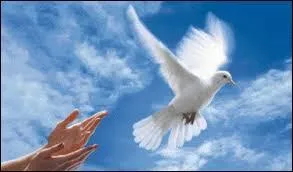 D&egrave;s le d&eacute;but du mois de janvier 2015, un journal, le &laquo; Charlie Hebdo &raquo;, est violemment attaqu&eacute; par des terroristes. M&ecirc;me si le contexte est diff&eacute;rent, je pense que la tristesse des proches des personnes d&eacute;c&eacute;d&eacute;es lors de ces attentats de janvier 2015 est comparable &agrave; celle qu'a pu ressentir C&eacute;line Dion lors de la mort de sa ni&egrave;ce. Quelle chanson a-t-elle chant&eacute;e en tant qu'hommage ?