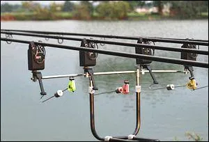 Du nom de quel animal les pêcheurs ont-ils baptisé l'instrument qu'ils utilisent pour détecter les touches de carpes ?