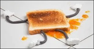 "Une tartine de beurre tombe toujours sur le côté beurré". À quelle loi ceci fait-il référence ?